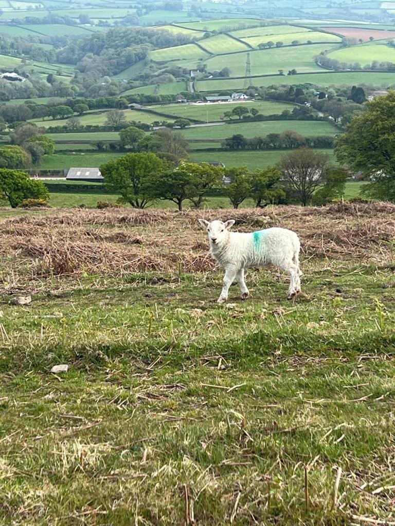 Holiday home The Old Post House - Historic Dartmoor *